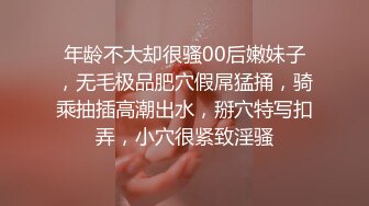 别人的宝贝我的母狗