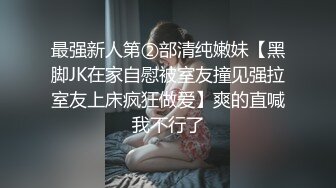 大奶骚妻第二弹