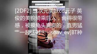 兴风作浪的姐姐DYPE002女优培训篇