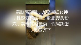  骚骚小少妇情趣耳朵灰丝夫妻居家啪啪，69姿势口交舔屌上位骑乘，抱着屁股一下下撞击