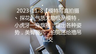 2023-11-8【模特写真拍摄丶探花】气质尤物极品模特，小虎牙一身旗袍，摆出各种姿势，美臀骚穴，拍完还给撸吊口交