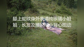 【顶级网红??推女郎】超影像?顶流极品网红『艾栗栗』最新火爆私拍 男友视角跪舔 插肛喷水 自虐口爱篇 高清720P原版