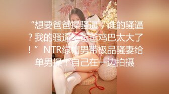 STP32418 蜜桃影像传媒 PMC464 强上我可爱的女房客 吴文淇