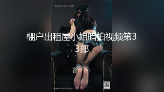 SWAG 一日飞天小女警我要逮捕你的心（下）