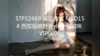 涩会传媒SH-012合租的陌生人-吴心语【MP4/331MB】