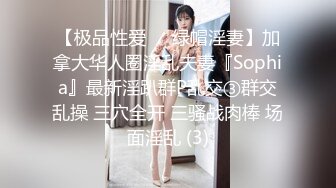 【极品性爱❤️绿帽淫妻】加拿大华人圈淫乱夫妻『Sophia』最新淫趴群P乱交③群交乱操 三穴全开 三骚战肉棒 场面淫乱 (3)