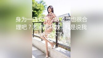 身为一日女仆，服务员也很合理吧？差点玩坏欸…我是说我被玩坏了