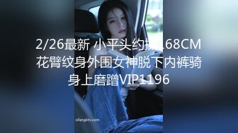 女仆装淫荡小骚货，没男友自己玩，高跟鞋吊带黑丝，地上假屌骑坐，表情一脸淫骚，掰开骚穴特写