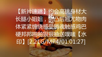 一绝腿~~176模特腿~~花椒【176的鱼鱼】土豪千元定制空姐制服道具，这穴湿成这样，好想已舔 诱惑啊！