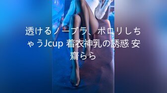 透けるノーブラ、ポロリしちゃうJcup 着衣神乳の誘惑 安齋らら