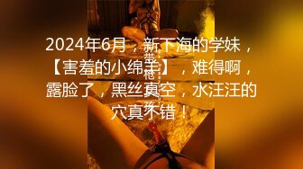 探花系列-酒店高价约操高质量外围女