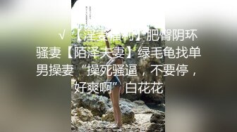 长沙靓女Ts美佳琪 小哥哥还开视频给他兄弟炫耀，超真实的对白，爽到飞起来，说长沙好玩，勾引直男到厕所轮流吃鸡巴！