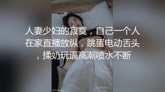 深夜场约乖巧妹子 互摸隔着内裤揉穴 [镜头前口交舔屌