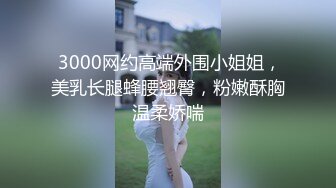  3000网约高端外围小姐姐，美乳长腿蜂腰翘臀，粉嫩酥胸温柔娇喘