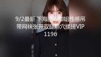 9/2最新 下海肥臀御姐性感吊带网袜张开双腿掰穴揉搓VIP1196