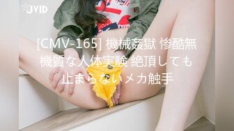 国产AV 蜜桃影像传媒 PMC017 为了梦想 把老婆送给房东 上集 林语桐