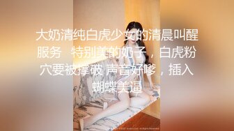 【AI换脸视频】高圆圆  调教女仆美娇娘