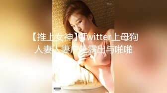 【推上女神】Twitter上母狗人妻人妻户外露出与啪啪