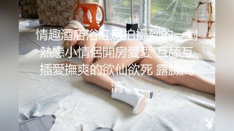 起点传媒 性视界传媒 XSJKY079 神棍风水师双修信女消灾解厄 乐奈子