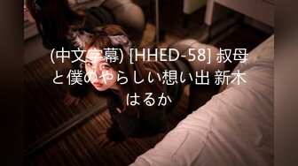 (中文字幕) [HHED-58] 叔母と僕のやらしい想い出 新木はるか