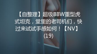 【自整理】超级BBW重型虎式坦克，堂里的老司机们，快过来试试手感如何！【NV】 (19)