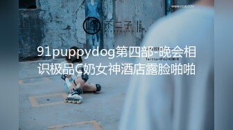 91puppydog第四部-晚会相识极品C奶女神酒店露脸啪啪