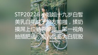 STP20226 小姐姐十九岁白皙美乳白裙妹子炮友啪啪，揉奶摸屌上位骑乘摩擦，第一视角抽插肥逼，后入性感大白屁股