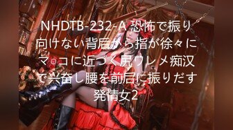 NHDTB-232-A 恐怖で振り向けない背后から指が徐々にマ○コに近づく尻ワレメ痴汉で兴奋し腰を前后に振りだす発情女2