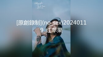 [原創錄制](no_sex)20240119_红苹果