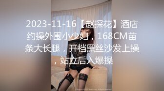 2023-11-16【赵探花】酒店约操外围小少妇，168CM苗条大长腿，开档黑丝沙发上操，站立后入爆操