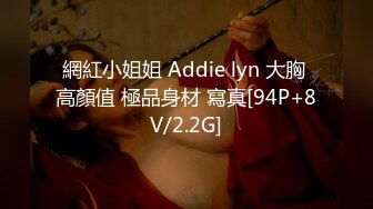 網紅小姐姐 Addie lyn 大胸 高顏值 極品身材 寫真[94P+8V/2.2G]