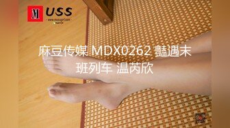 麻豆传媒 MDX0262 豔遇末班列车 温芮欣