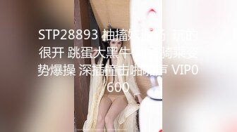 猎奇圈内部热门精品~2位人妻孕妇做爱自慰 真实大量曝光[950P+49V/3.54G]