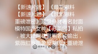 丰乳肥臀 经典身材 OnlyFans - Ariasix 最新流出资源合集【208V】 (21)