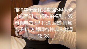 推特字母圈优质超强SM大佬【威严S】订阅私拍福利，双母狗电击 SP 打逼 滴蜡 扇嘴巴子 口交 舔脚各种非人类调教 (8)