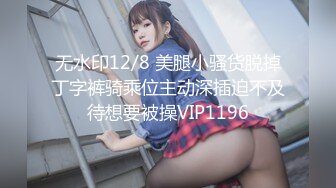 麻豆传媒 MD-0265 丰满汽车女销售的车震推销-莫夕慈