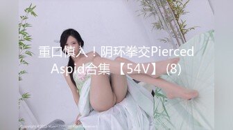 重口慎入！阴环拳交PiercedAspid合集 【54V】 (8)