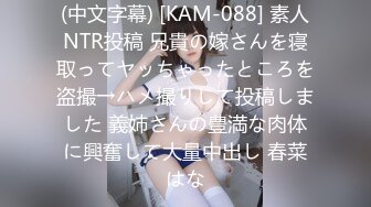 (中文字幕) [KAM-088] 素人NTR投稿 兄貴の嫁さんを寝取ってヤッちゃったところを盗撮→ハメ撮りして投稿しました 義姉さんの豊満な肉体に興奮して大量中出し 春菜はな