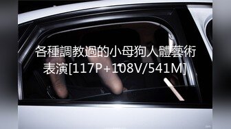 カリビアンコム 101422-001 女熱大陸 File.088 折原ほのか