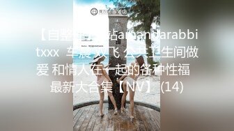 【自整理】P站amandarabbitxxx  车震 双飞 公共卫生间做爱 和情人在一起的各种性福  最新大合集【NV】 (14)