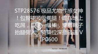 星空传媒XKTC027母狗女友想让我操未来岳母